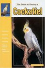 The Guide to Owning a Cockatiel