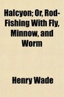 Halcyon Or RodFishing With Fly Minnow and Worm