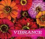 Vibrance Deluxe Notecards