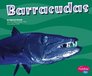 Barracudas (Pebble Plus)