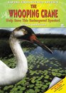 The Whooping Crane Help Save This Endangered Species