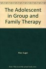 The Adolescent in group and family therapy