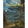 The Enchanted Wood An Original Fairy Tale