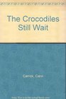 CROCODILES STILL WAIT