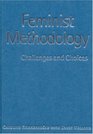Feminist Methodology  Challenges and Choices