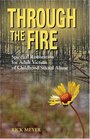 Through The Fire Spiritual Resoration For Adult Victims Of Childhood Sexual Abuse
