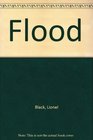 Flood