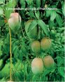 Compendium of Tropical Fruit Diseases