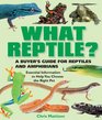 What Reptile A Buyer's Guide