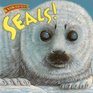 Seals