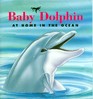 Baby Dolphin At Home in the Ocean