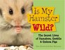 Is My Hamster Wild The Secret Lives of Hamsters Gerbils  Guinea Pigs