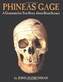 Phineas Gage A Gruesome but True Story About Brain Science