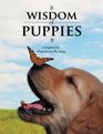 The Wisdom of Puppies