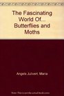 The Fascinating World Of Butterflies and Moths