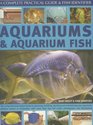 Aquariums and Aquarium Fish