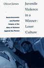 Juvenile Violence in a WinnerLoser Culture SocioEconomic and Familial Origins of the Rise of Violence Against the Person