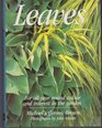 Leaves: For All-Year Round Colour and Interest in the Garden