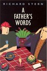 A Father's Words  A Novel