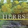 Herbs  Gardens Decorations and Recipes