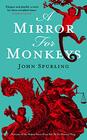 Mirror For Monkeys
