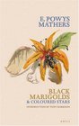 Black Marigolds  Coloured Stars