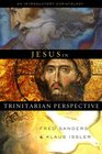 Jesus in Trinitarian Perspective An Introductory Christology