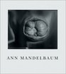 Ann Mandelbaum