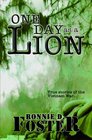 One Day as a Lion True Stories from the Vietnam War
