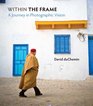 Within the Frame: The Journey of Photographic Vision (Voices That Matter)