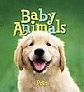 Baby Animals (Animal Information Series)