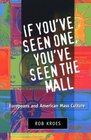 If You'Ve Seen One You'Ve Seen the Mall Europeans and American Mass Culture