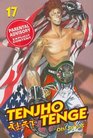 Tenjho Tenge Volume 17