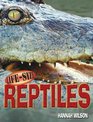 LifeSize Reptiles