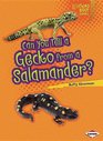 Can You Tell a Gecko from a Salamander