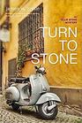 Turn to Stone An Ellie Stone Mystery