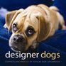 Designer Dogs Portraits and Profiles of Popular New Crossbreeds
