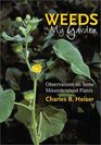 Weeds in My Garden: Observations on Some Misunderstood Plants