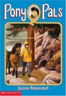 Lost and Found Pony (Pony Pals)