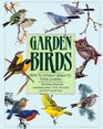 Garden Birds: How to Attract Birds to Your Garden