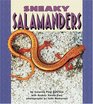 Sneaky Salamanders