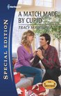 A Match Made by Cupid (Foster Brothers, Bk 2) (Harlequin Special Edition, No 2170)