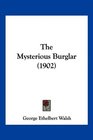 The Mysterious Burglar