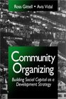 Community Organizing  Building Social Capital as a Development Strategy