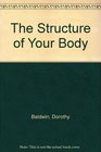 The Structure of Your Body