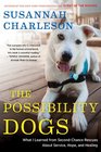The Possibility Dogs What I Learned from SecondChance Rescues About Service Hope and Healing