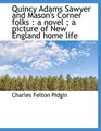 Quincy Adams Sawyer and Mason's Corner folks a novel  a picture of New England home life