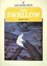 The Swallow