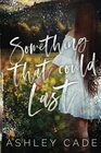 Something That Could Last (Wild Hearts)