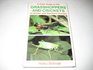 Field Guide to the Grasshoppers of Britain and Europe